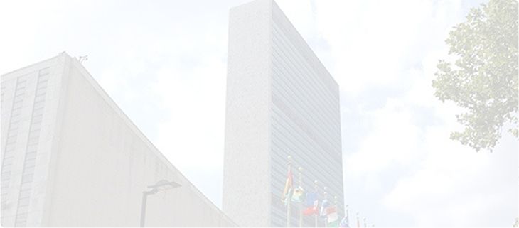 Evolution de la question au sein des Nations Unies